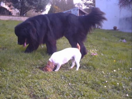 le grand frère avec sa petite soeur!    lollllllll